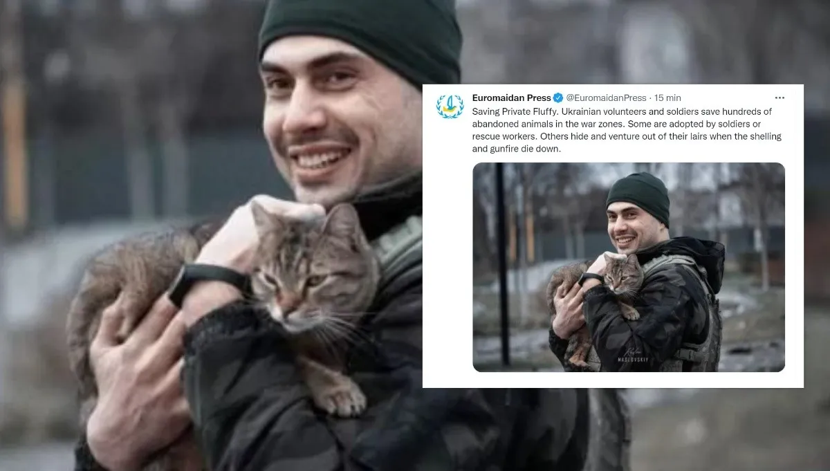 Ukraińscy wolontariusze i żołnierze ratują setki zwierząt. Niektóre z nich adoptują