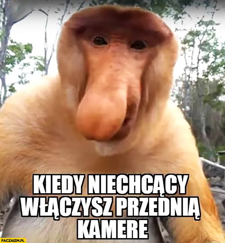 Kamerka