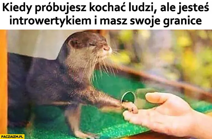 Miłość