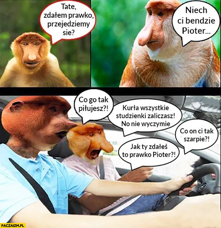 Prawko