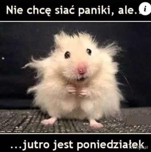 Poniedziałek