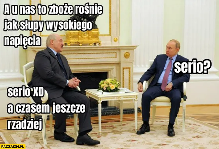 Zboże