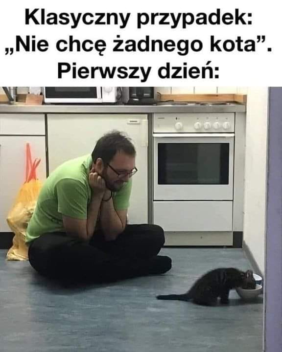 "Nie chcę kota"