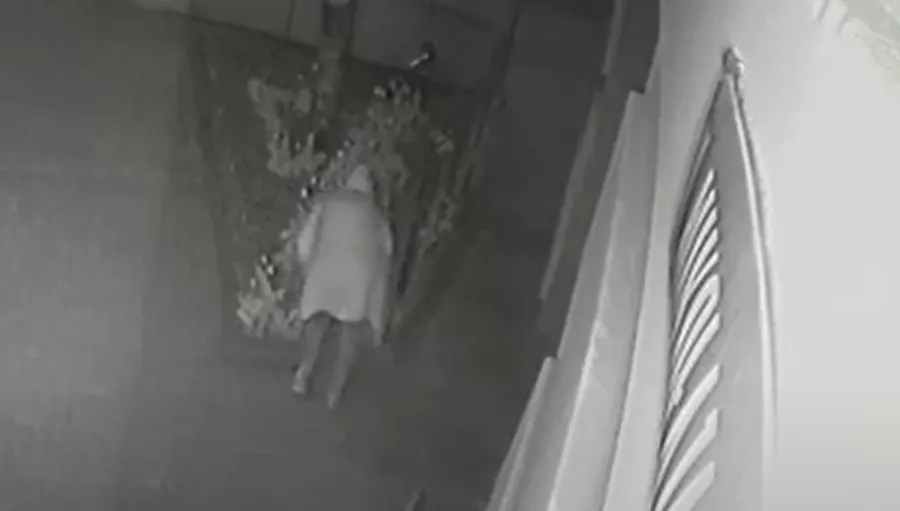 Elegancka pani założyła kaptur i... ukradła tulipany - WIDEO