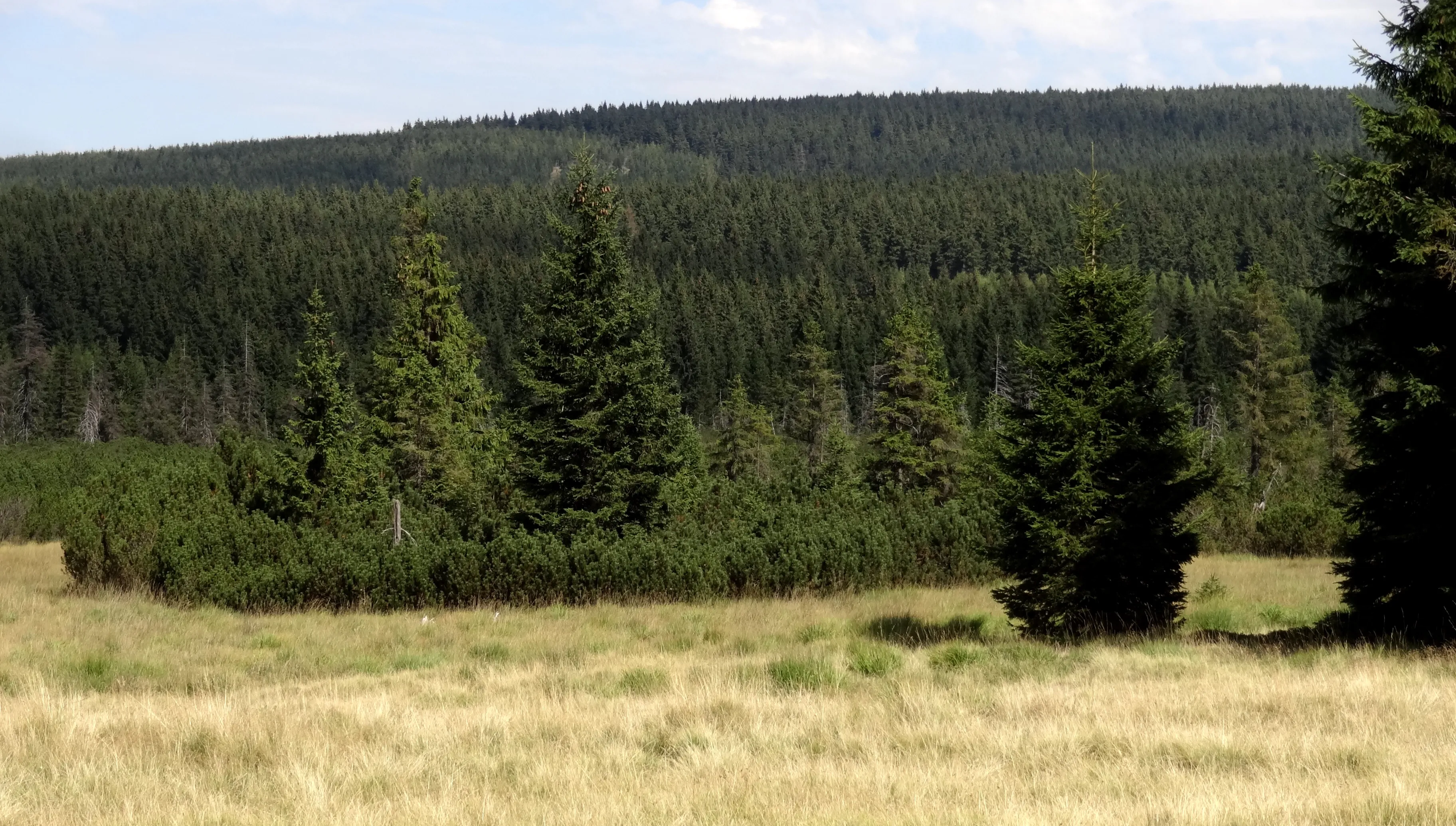 Ciekawostki turystyczne: Dolina Izery