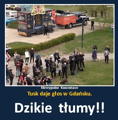 Dzikie tłumy