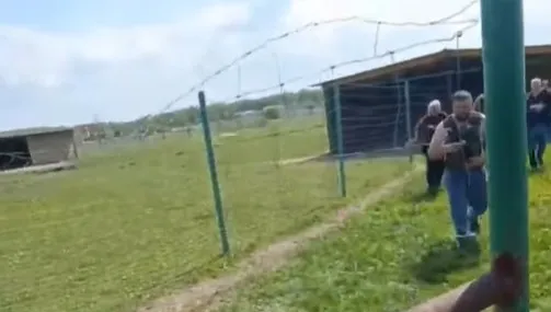 Rosjanie ostrzelali ekopark w Charkowie. Nie żyje 15-letni wolontariusz 