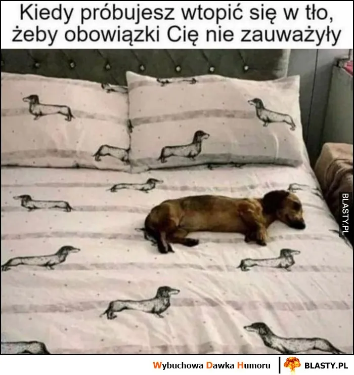 Wtopić w tło