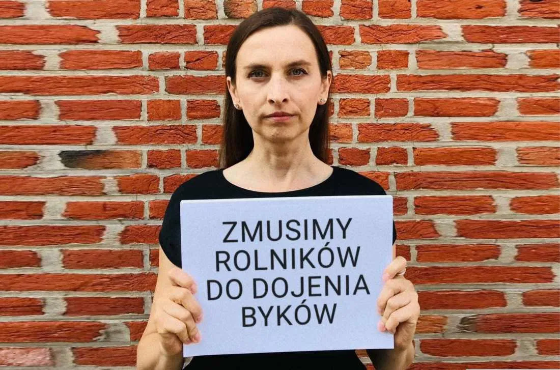Program wyborczy