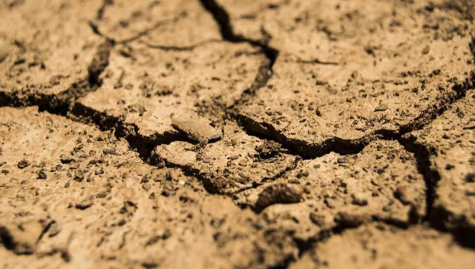 Ostrzeżenia przed suszą hydrologiczną w czterech województwach