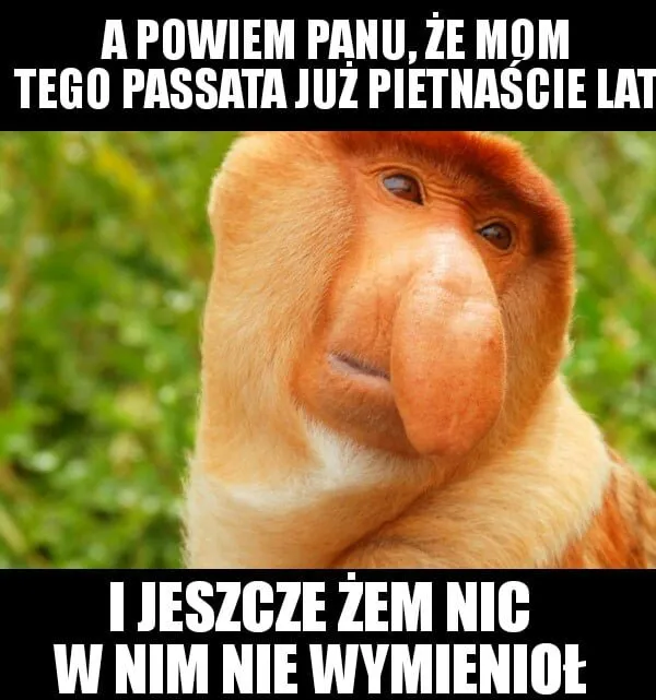 Passat