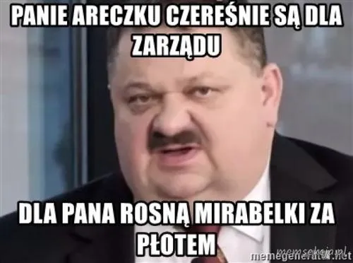 Czereśnie i mirabelki
