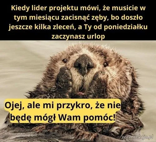 Jak przykro