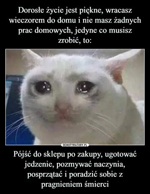 Dorosłość