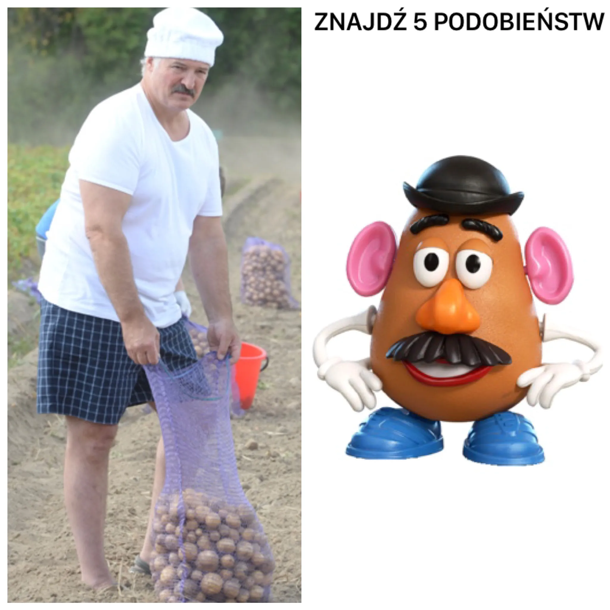 5 podobieństw