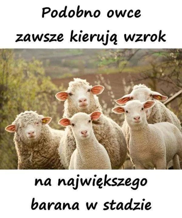 Kto nim jest?