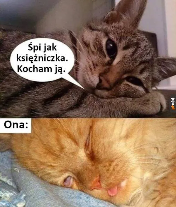 Księżniczka