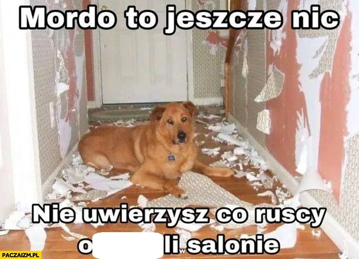 W salonie