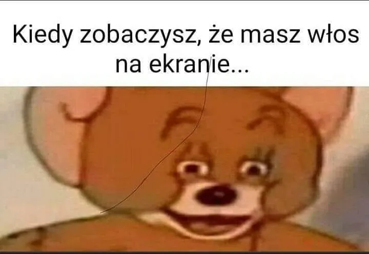 Włos