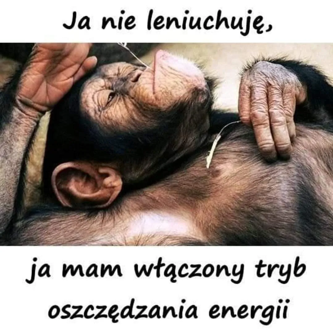 Leń