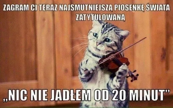 Głód