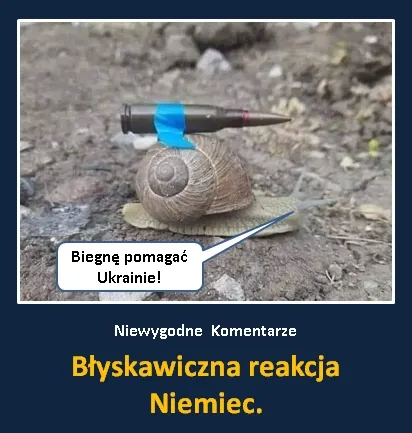 Niemcy pomagają