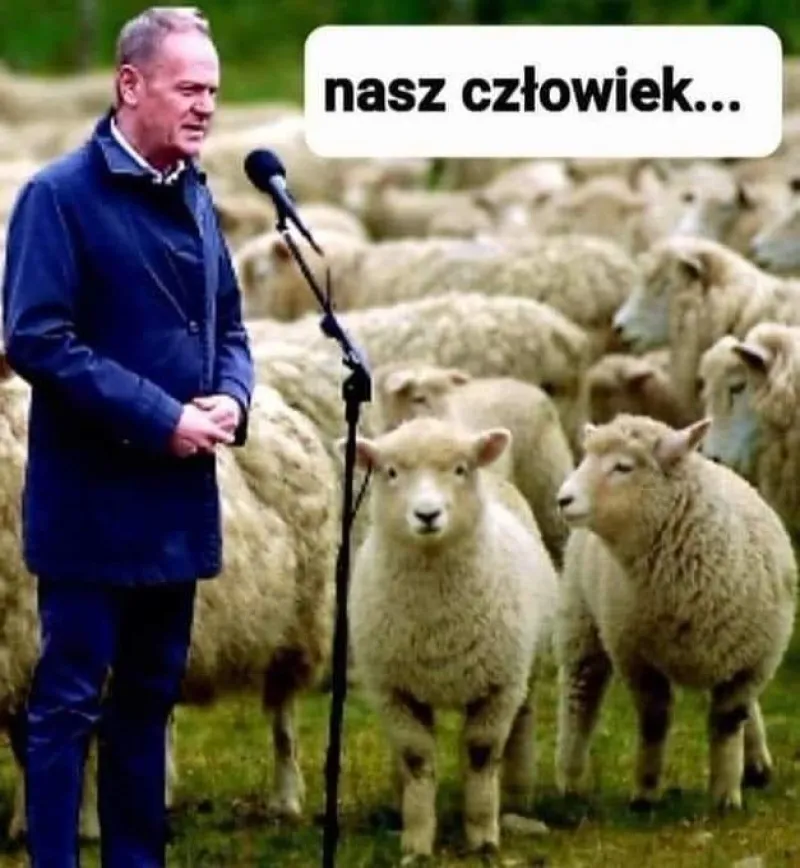 Nasz człowiek