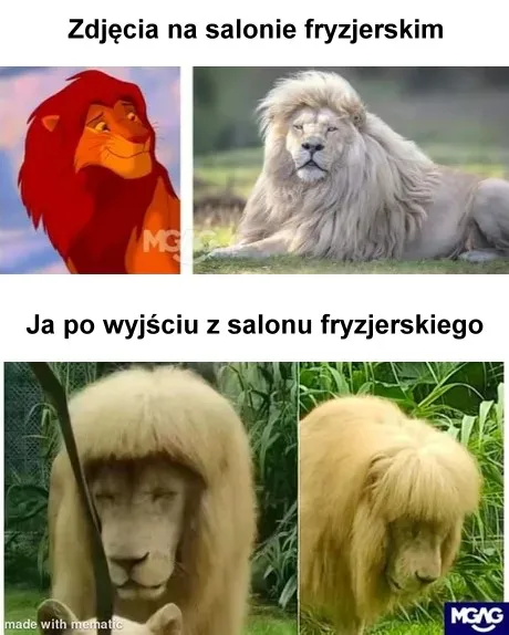 Zdjęcia