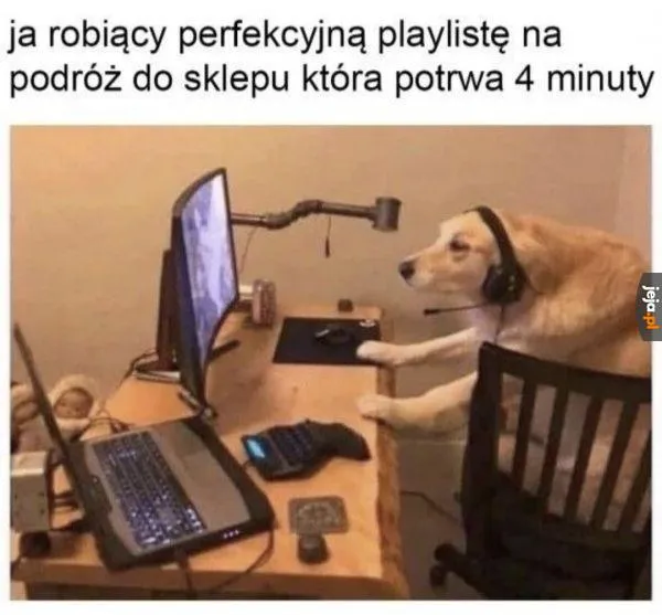 Sprzątanie