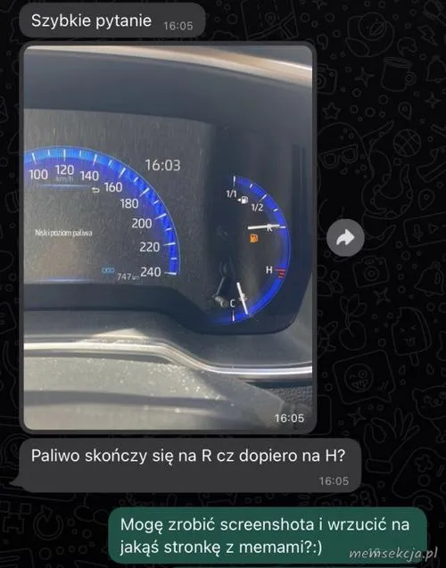 Paliwo
