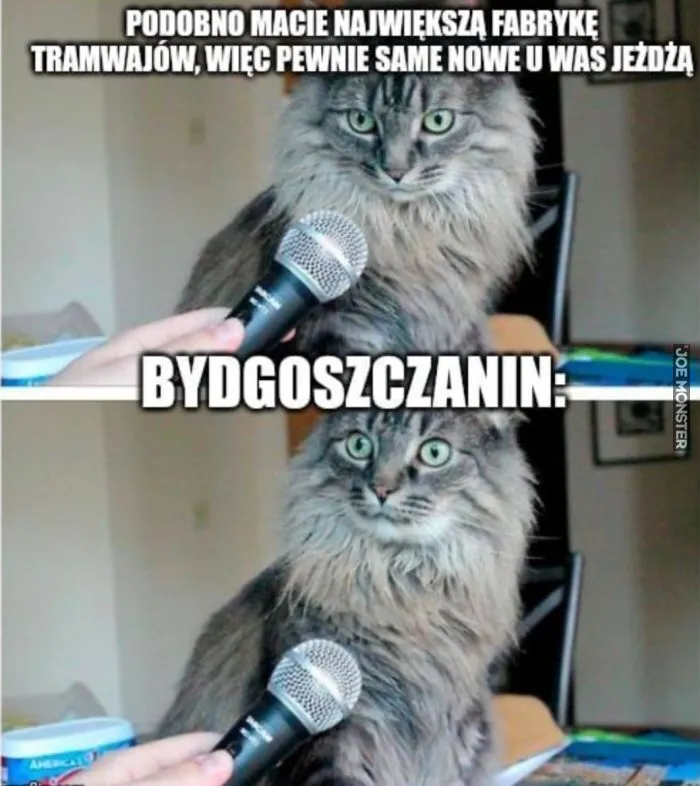 W Bydgoszczy