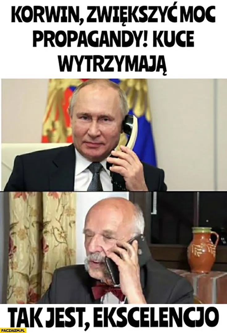 Kuce wytrzymają!