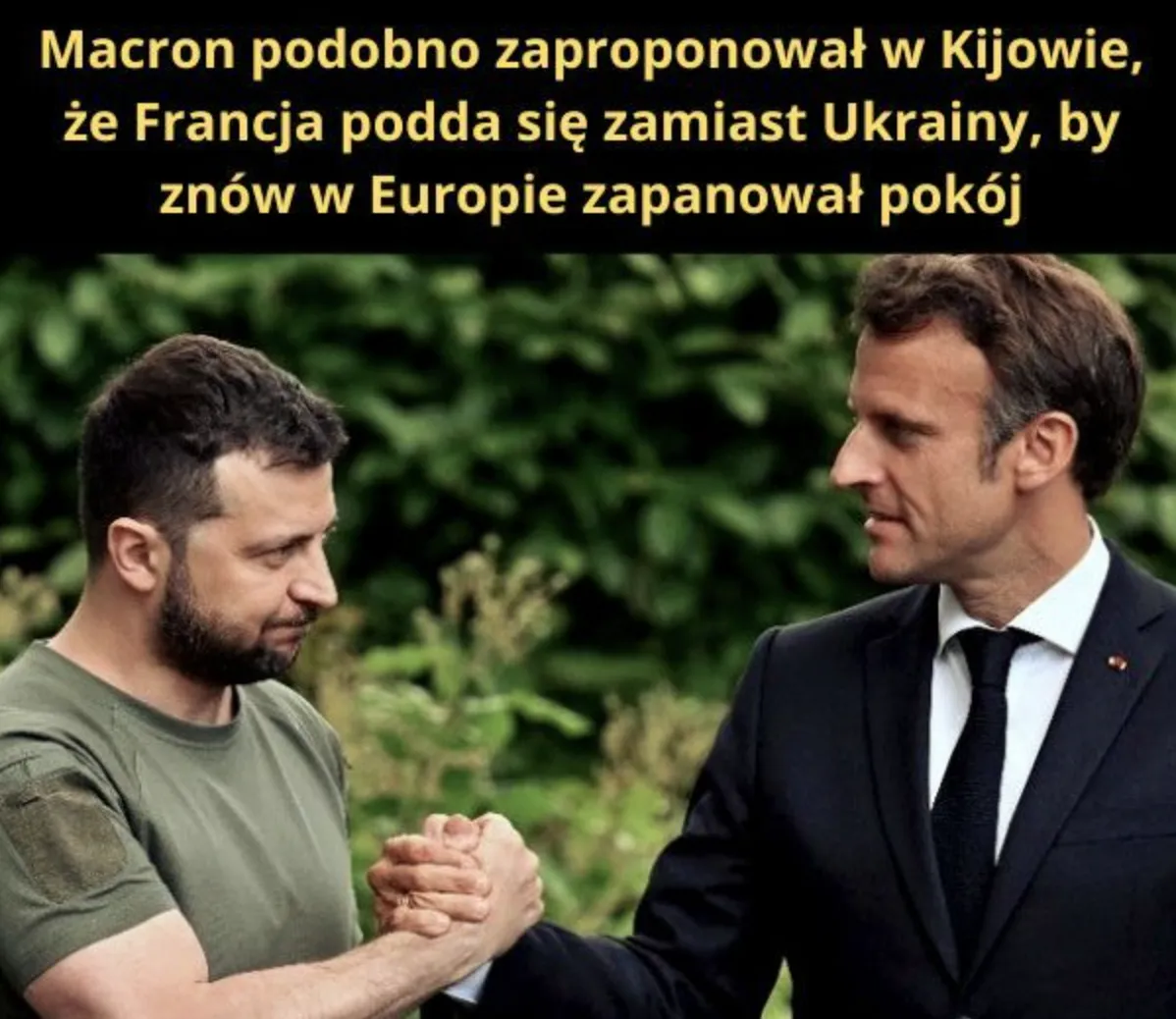Biała flaga