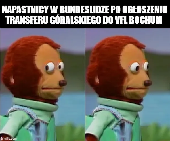 Góralski w Bundeslidze