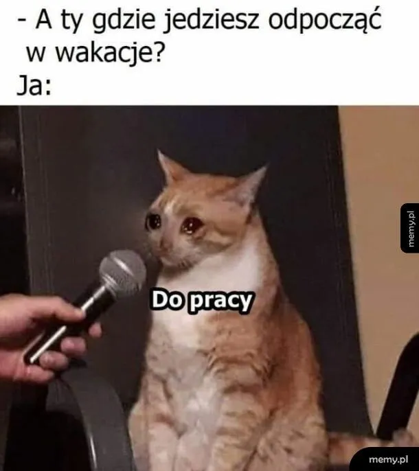 Wakacje w pracy
