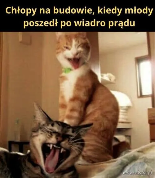 Prąd