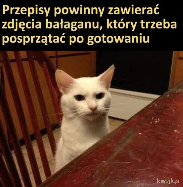 Przepis