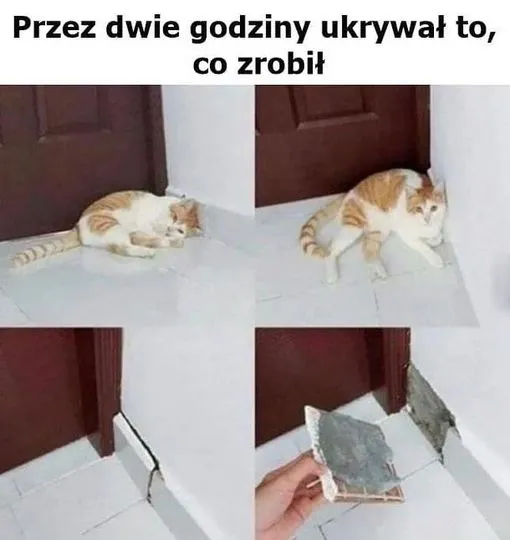Zmęczony?