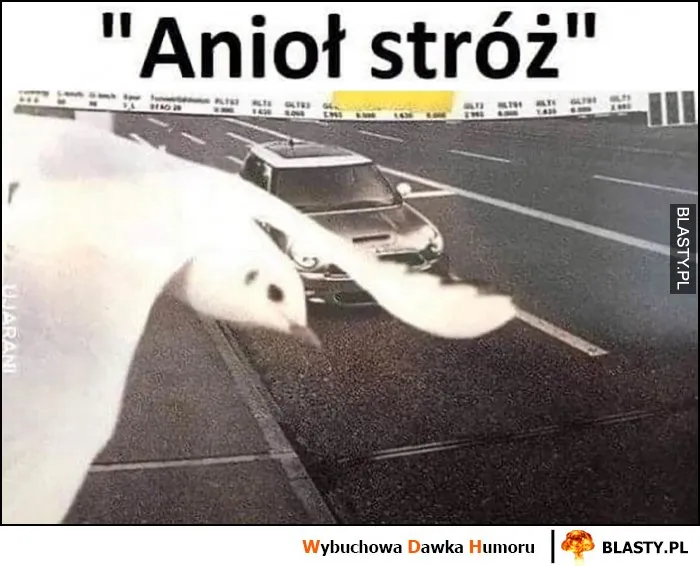 Anioł