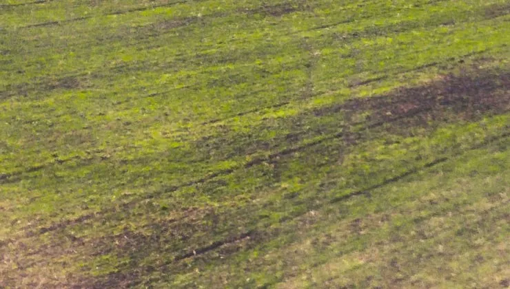 Polsce nie grozi niedobór żywności