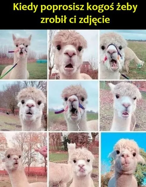 Pozowanie