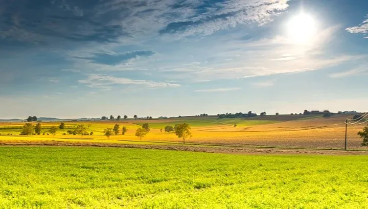Jutro od 19°C na północy, do 28°C na południu. Możliwe burze