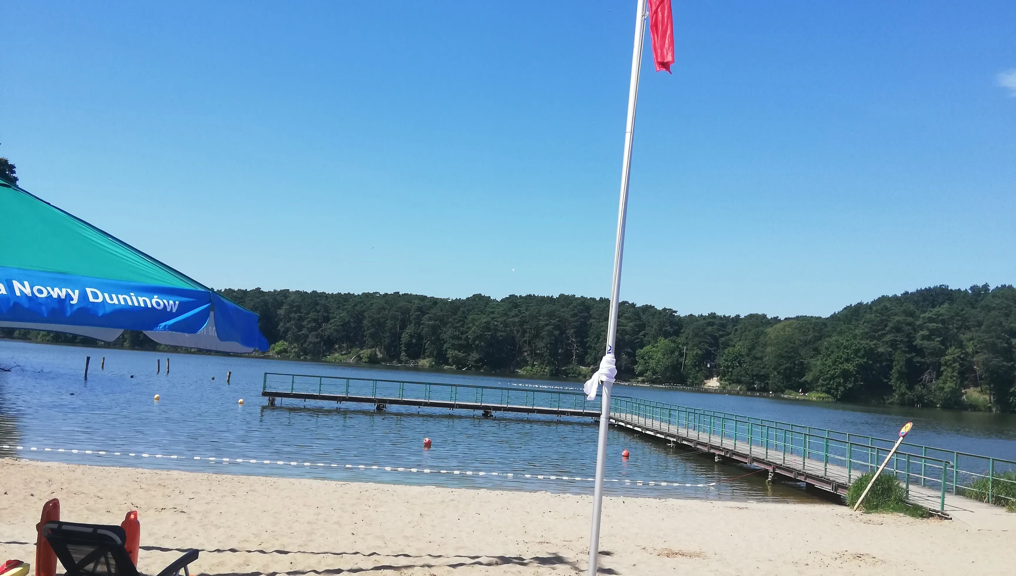 Sinice w popularnym kąpielisku pod Płockiem