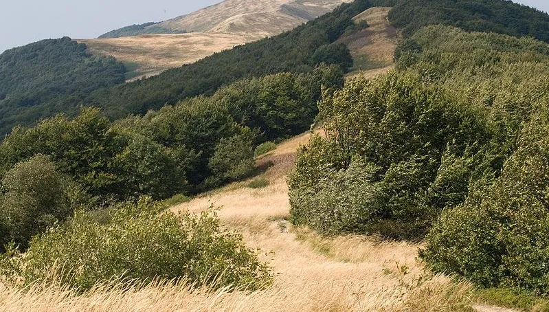 Bieszczady: bardzo dobre warunki dla turystów