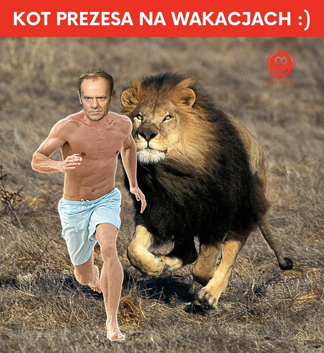 Kot prezesa