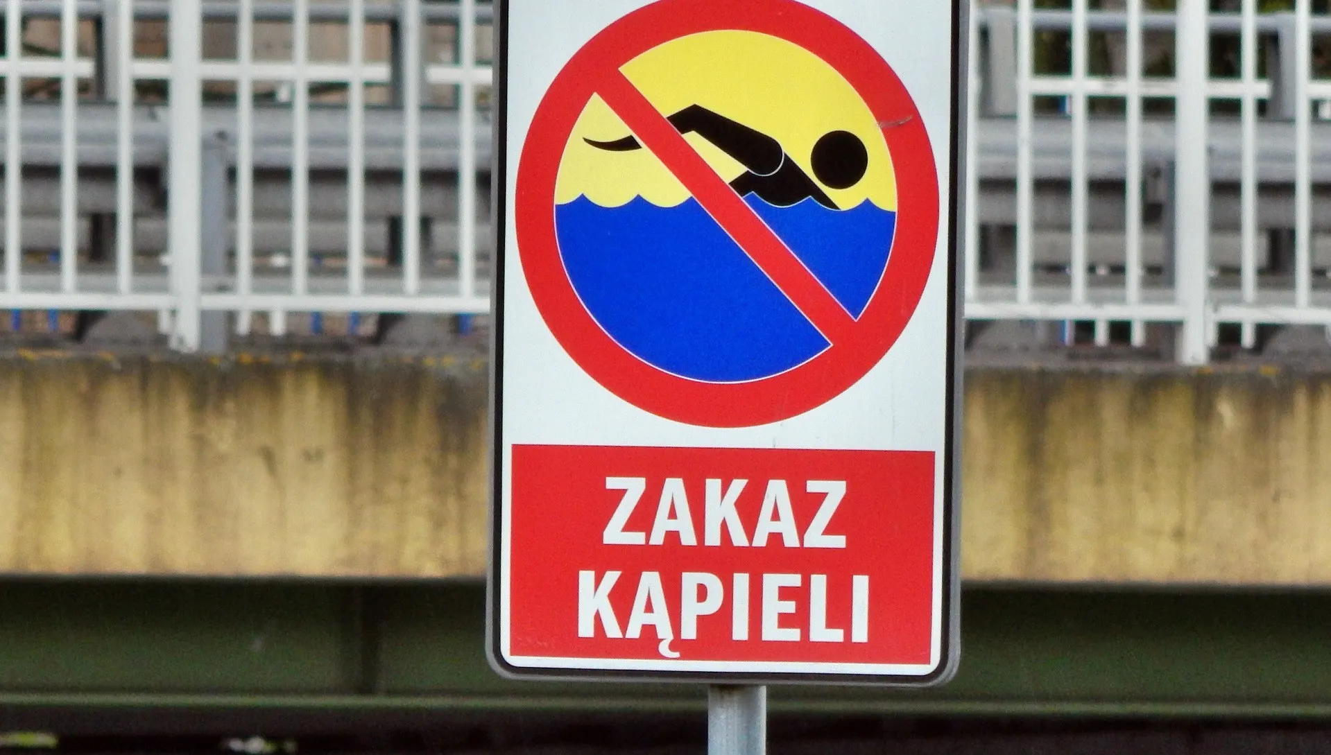 Pomorskie: Trzy kąpieliska zamknięte z powodu sinic