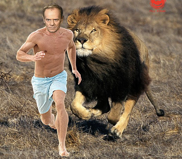 Obudził się