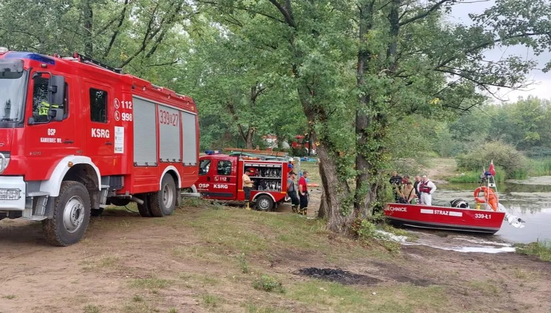 Strażacy usuwają śnięte ryby z Odry