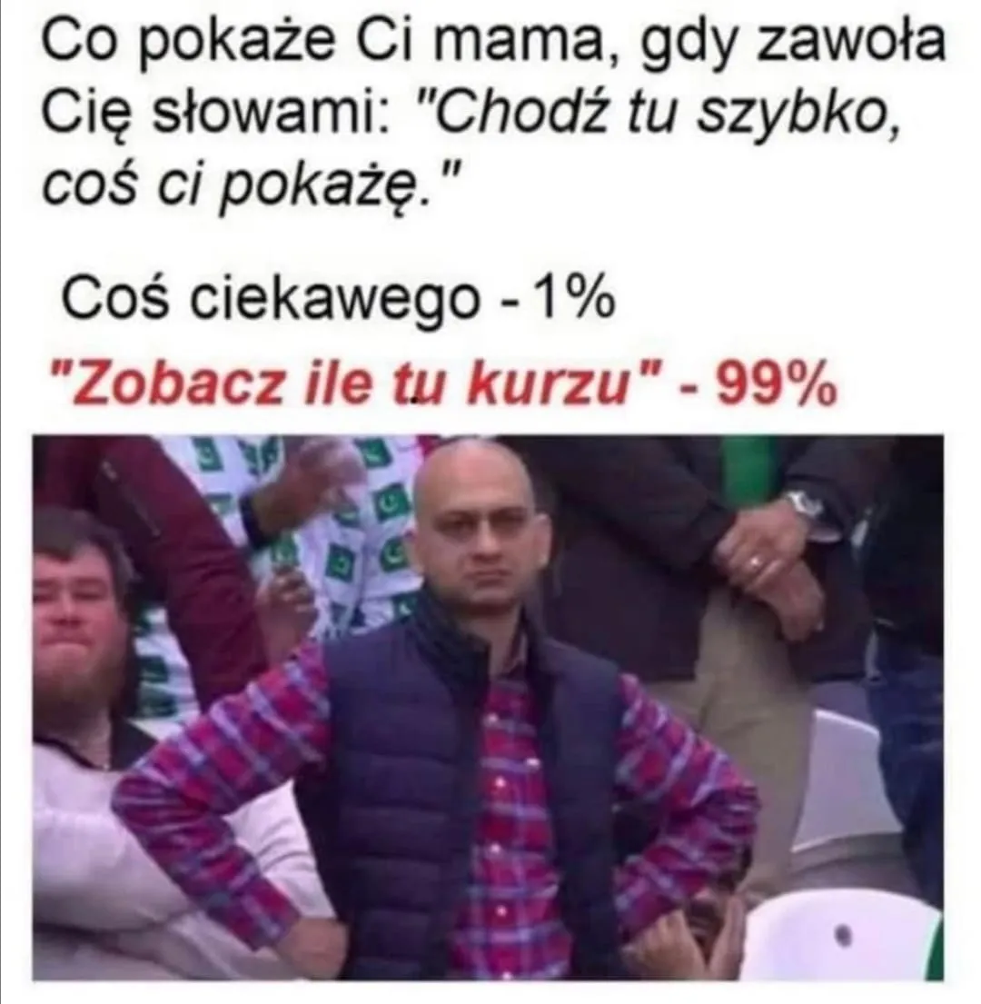 Zobacz, ile kurzu