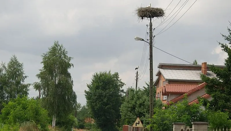 Wielki zastrzyk gotówki dla wsi w Łódzkiem!